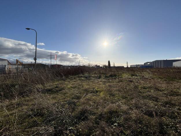 Gewerbegrundstück zum Kauf 511.000 € 2.270 m² Grundstück Edenkoben 67480