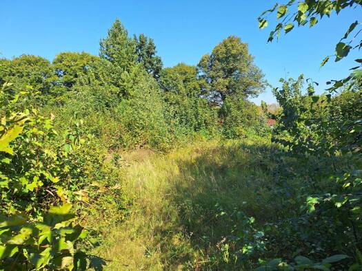 Grundstück zur Miete 51.000 m² Grundstück Boddin Groß Pankow (Prignitz) 16928