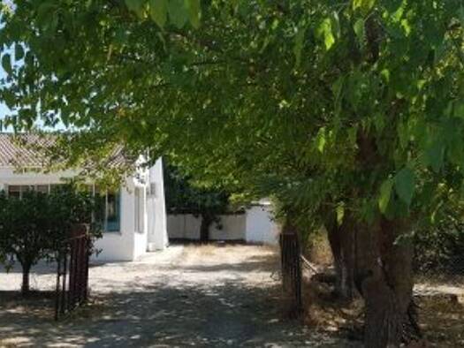 Bauernhaus zum Kauf 150.000 € 4 Zimmer 140 m² 4.855 m² Grundstück Bollullos Par del Condado 21710