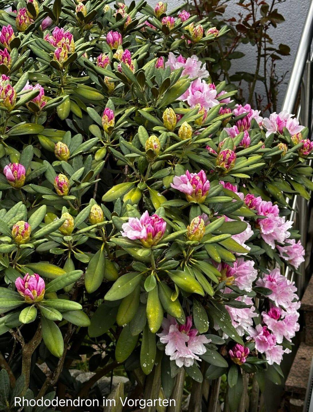 Property thumbnail 34