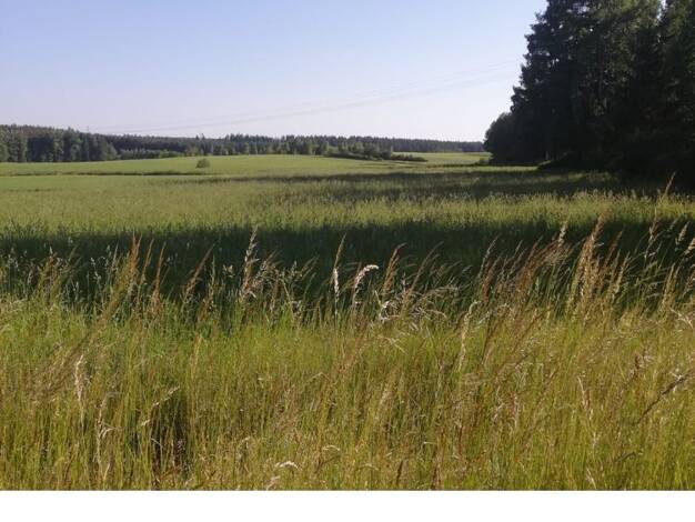 Grundstück zum Kauf 160.000 € 4.040 m² Grundstück Haide Helmbrechts 95233