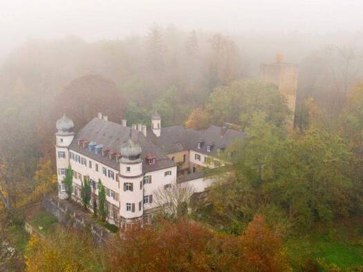 Schloss zum Kauf 34 Zimmer 720 m² 65.608 m² Grundstück Neueglofsheim Thalmassing 93107