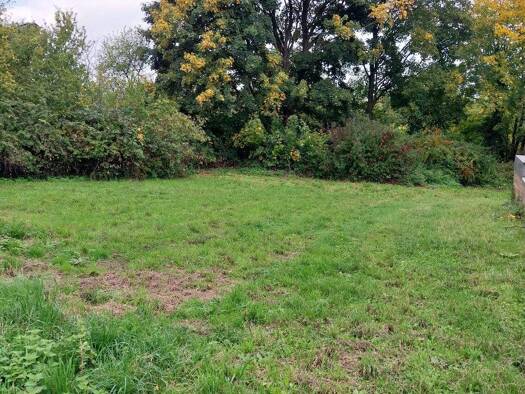 Grundstück zur Versteigerung 350.000 € 1.131 m² Grundstück Grüner Weg, Brühl-Badorf Brühl 50321