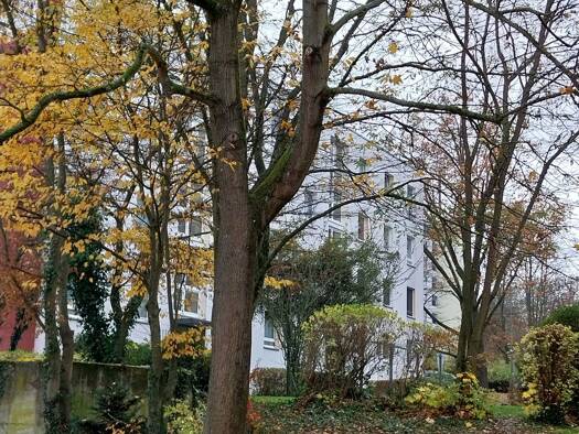 Terrassenwohnung zur Miete 600 € 2 Zimmer 55 m² Geschoss EG/4 frei ab sofort Wiesbaden 65197