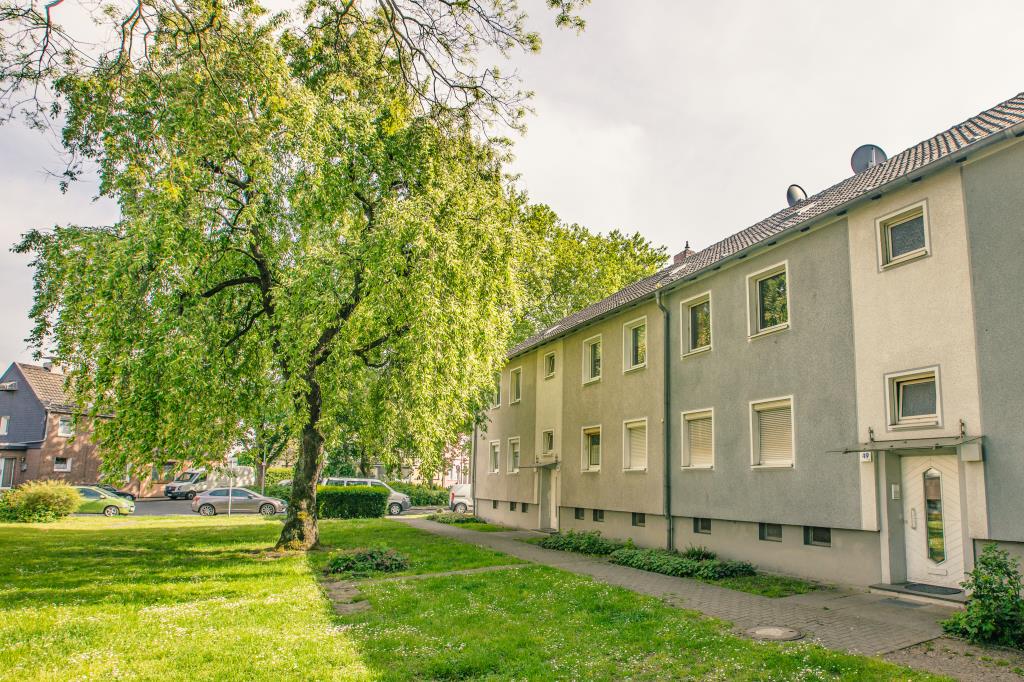 Wohnung zur Miete 339 € 2,5 Zimmer 38,4 m²<br/>Wohnfläche EG<br/>Geschoss Weberstraße 45 Lirich - Süd Oberhausen 46049