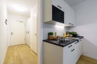 Studio zur Miete 589 € 1 Zimmer 20,3 m² 4. Geschoss frei ab sofort Ahornstraße 4 Babelsberg - Süd Potsdam 14482