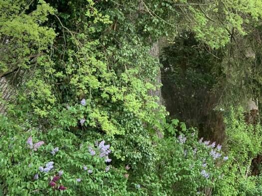 Grundstück zum Kauf 1.050.000 € 19.622 m² Grundstück Eggersdorf Siedlung Müncheberg 15374