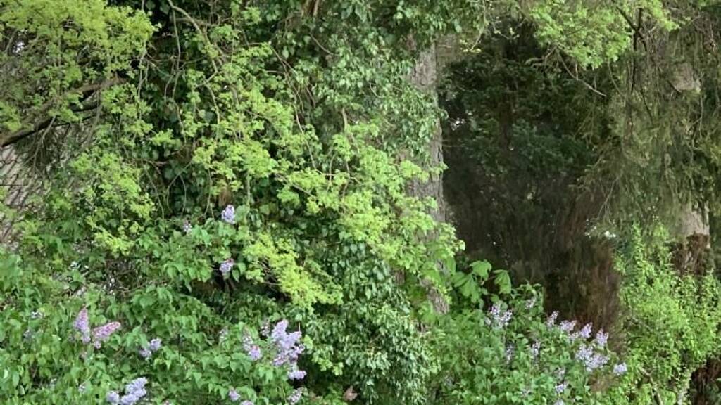 Grundstück zum Kauf 1.050.000 € 19.622 m² Grundstück Eggersdorf Siedlung Müncheberg 15374