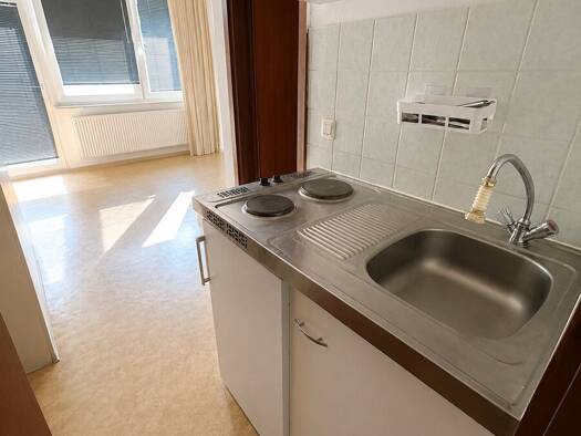 Wohnung zum Kauf 60.000 € 1 Zimmer 20 m² Innenstadt Kaiserslautern 67655