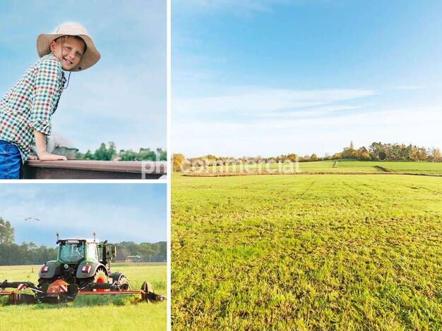 Land-/Forstwirtschaft zum Kauf 45.519 m² Grundstück Sief Aachen 52076