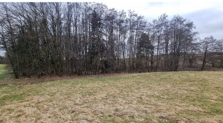 Land-/Forstwirtschaft zum Kauf 19.830 € 3.305 m²<br/>Grundstück Windorf Windorf 94575