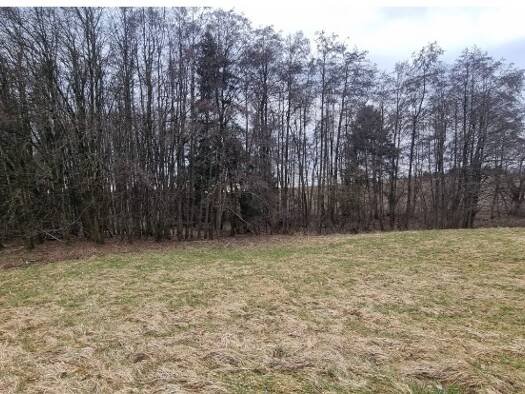 Land-/Forstwirtschaft zum Kauf 19.830 € 3.305 m² Grundstück Windorf 94575