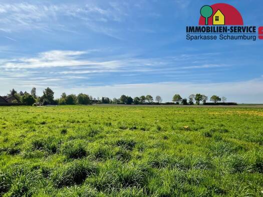 Grundstück zum Kauf provisionsfrei 96.638 € 684 m² Grundstück Wiedensahl 31719