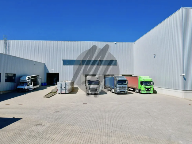 Halle/Industriefläche zur Miete provisionsfrei 5,50 € 4.100 m² Lagerfläche Nieder-Olm 55268