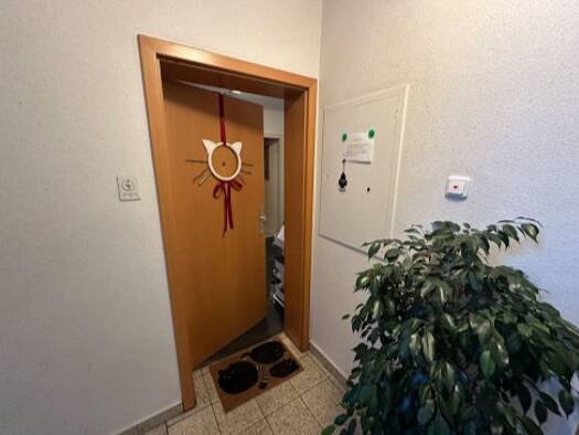 Wohnung zur Miete 550 € 2 Zimmer 54 m² EG frei ab 01.06.2026 West Kassel 34119