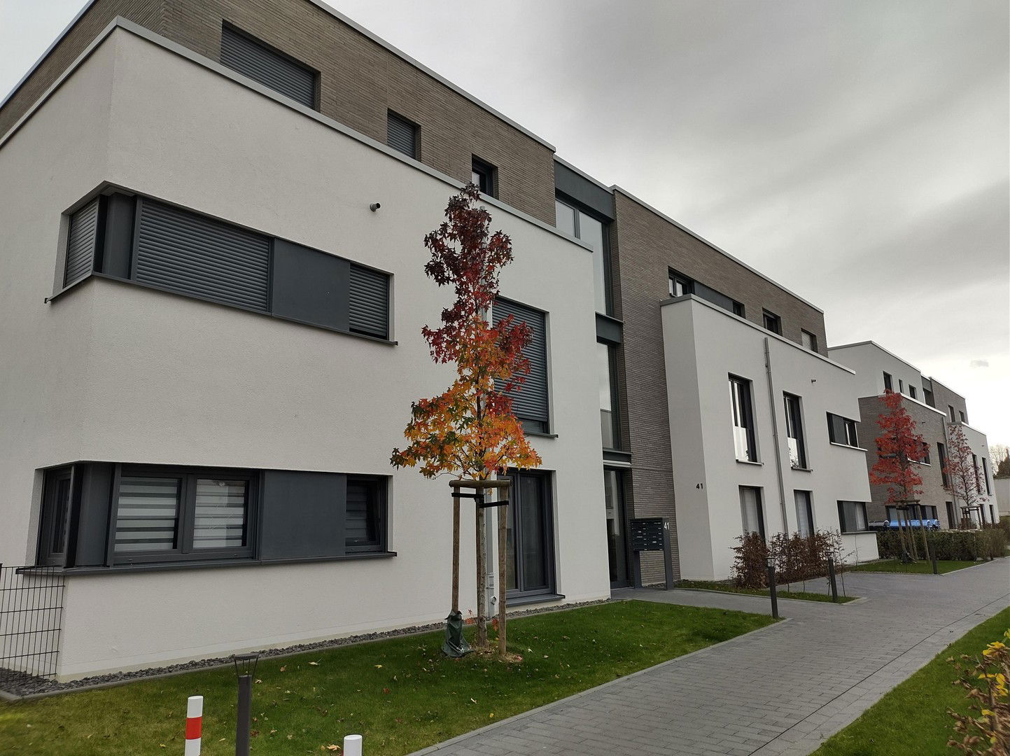 Terrassenwohnung zum Kauf provisionsfrei 331.000 € 2 Zimmer 66 m²<br/>Wohnfläche EG<br/>Geschoss 01.02.2025<br/>Verfügbarkeit Schwadorf Brühl 50321