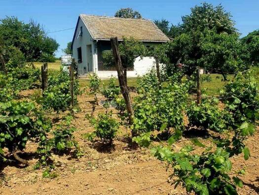 Haus zum Kauf 28.000 € 1 Zimmer 45 m² Kamenac, Knezevi Vinogradi Kneževi Vinogradi