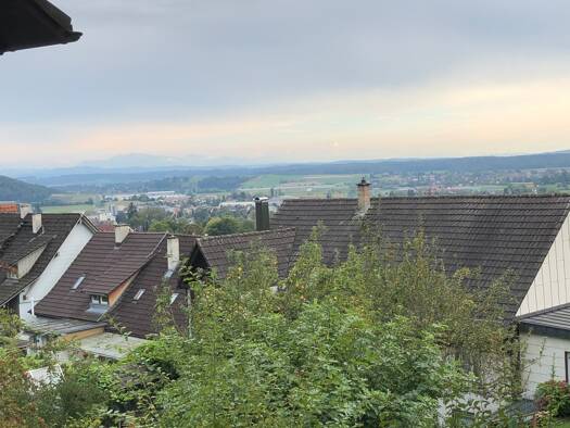 Einfamilienhaus zum Kauf 495.000 € 3,5 Zimmer 90 m² 846 m² Grundstück Gailingen 78262