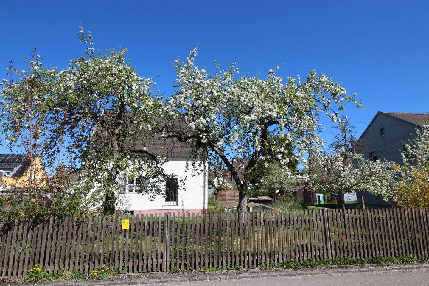 Einfamilienhaus zum Kauf - Ansicht 3