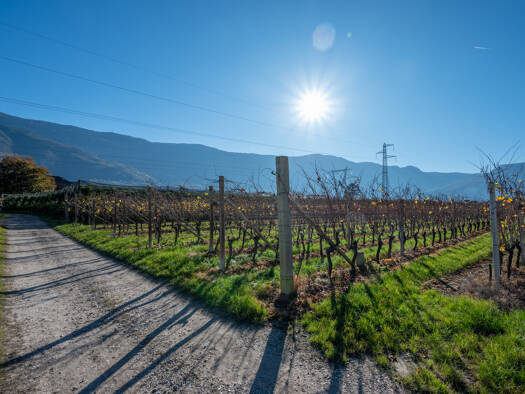 Gewerbegrundstück zum Kauf 468.000 € 5.505 m² Grundstück Kurtinig an der Weinstraße 39040