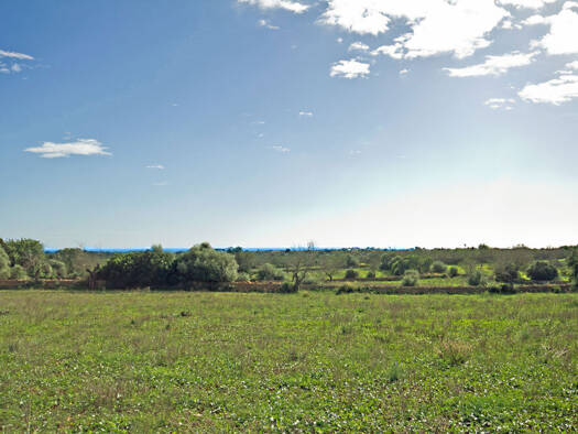 Grundstück zum Kauf provisionsfrei 1.450.000 € 25.093 m² Grundstück Baugenehmigung vorhanden S´Alqueria Blanca