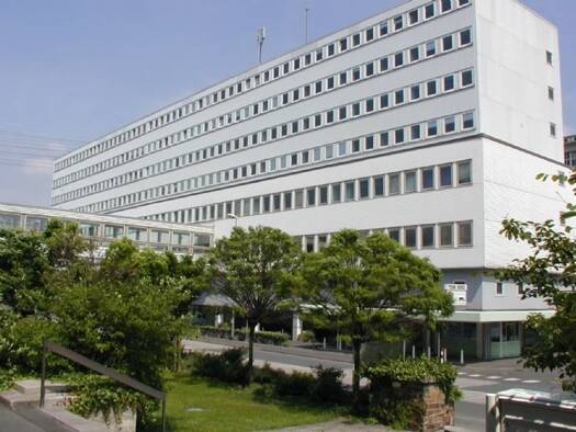 Bürofläche zur Miete provisionsfrei 13,66 € 500 m² Bürofläche Rheingaustraße 190-196 Biebrich Wiesbaden 65203