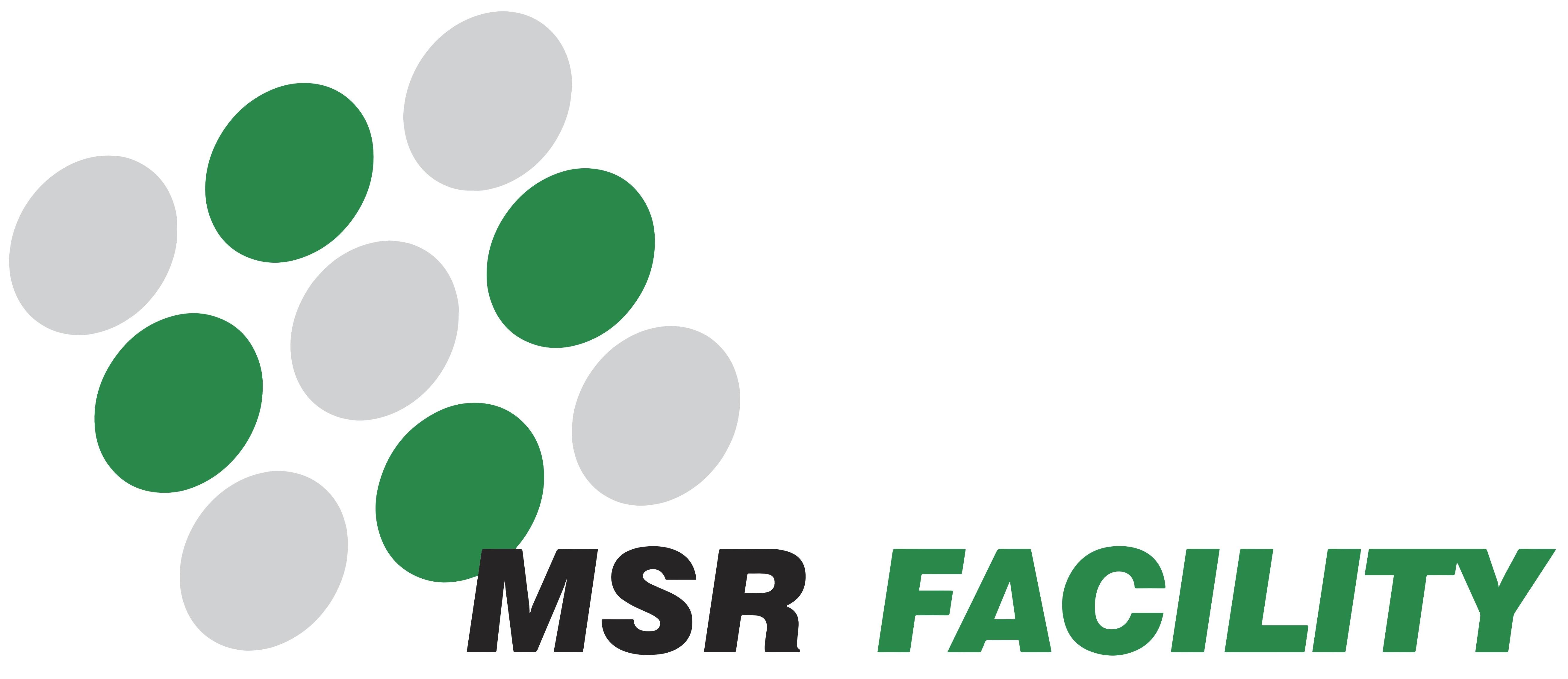MSR Facility GmbH