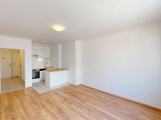 Wohnung zur Miete 466 € 1 Zimmer 29,7 m² 3. Geschoss Friedrich-Kaiser-Gasse Ottakring 1160