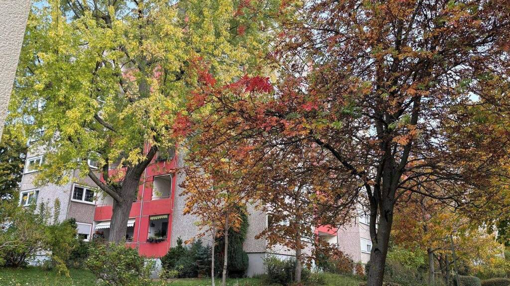 Wohnung zum Kauf 229.000 € 3 Zimmer 78 m² 4. Geschoss frei ab sofort Hirschlanden Ditzingen 71254