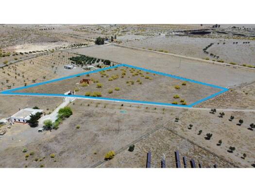 Acker-/Waldstück zum Kauf 80.000 € Tabernas 04200