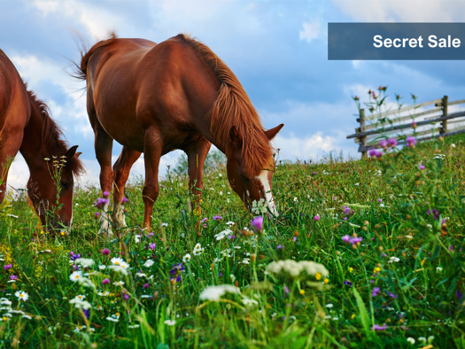 Land-/Forstwirtschaft zum Kauf 3.800.000 € 65.000 m² Grundstück Überlingen 88662