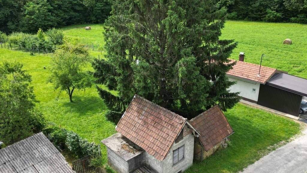 Land-/Forstwirtschaft zum Kauf 45.000 € Koprivnica