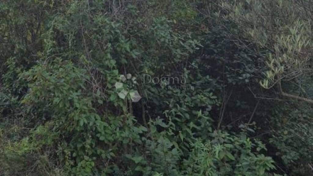 Land-/Forstwirtschaft zum Kauf 4.950 € Kali