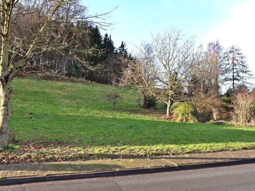 Grundstück zum Kauf 65.430 € 727 m² Grundstück Blasheim Lübbecke 32312