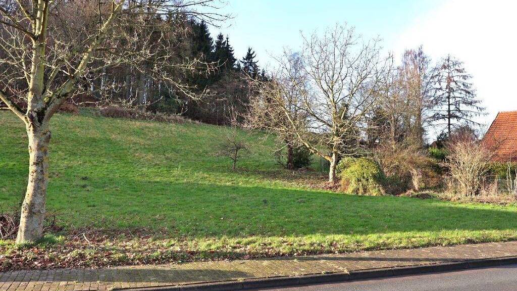 Grundstück zum Kauf 65.430 € 727 m² Grundstück Blasheim Lübbecke 32312