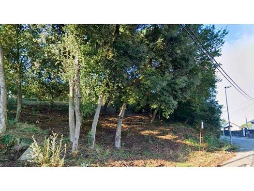Acker-/Waldstück zum Kauf 48.000 € Vallgorguina 08471