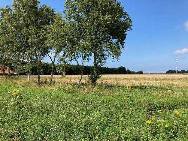 Grundstück zum Kauf provisionsfrei 700 m² Grundstück Ondelweg 1 Dornumergrode Dornum 26553