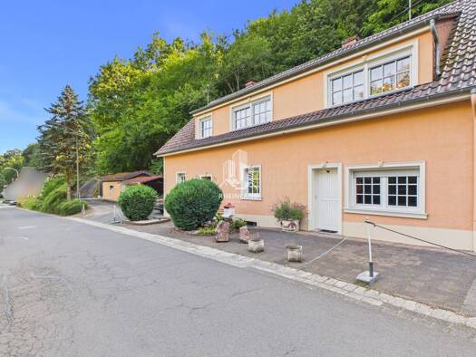 Einfamilienhaus zum Kauf 350.000 € 19 Zimmer 314 m² 10.000 m² Grundstück Wißmannsdorf Wißmannsdorf 54636