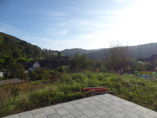 Grundstück zum Kauf 300.000 € 1.500 m² Grundstück Ebersberg Erbach 64711