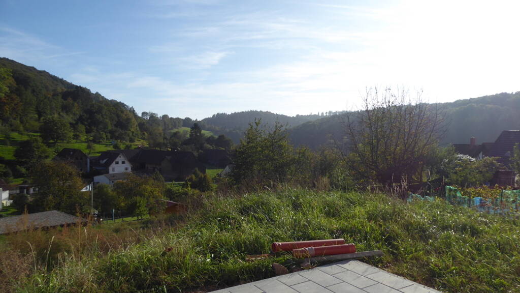 Grundstück zum Kauf 300.000 € 1.500 m² Grundstück Ebersberg Erbach 64711