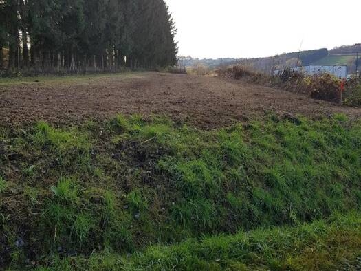 Grundstück zum Kauf 46.000 € 1.750 m² Grundstück Stegersbach 7551