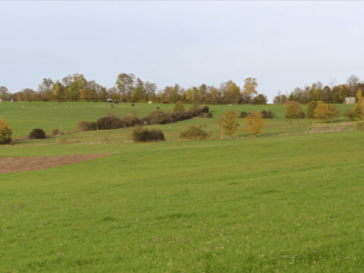 Bauernhof zum Kauf 1.550.000 € 210.000 m² Grundstück Owingen Haigerloch 72401