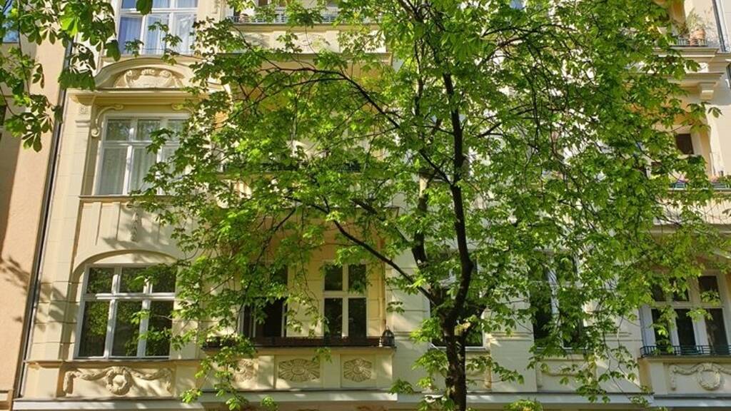 Studio zum Kauf 189.000 € 1 Zimmer 41,9 m² EG Stephanstraße 33 Steglitz Berlin 12167