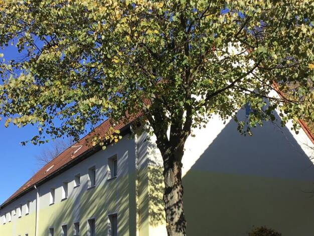 Wohnung zur Miete 389 € 3 Zimmer 51,4 m² 1. Geschoss frei ab 27.11.2026 Beethovenstraße 4 Bönen Bönen 59199