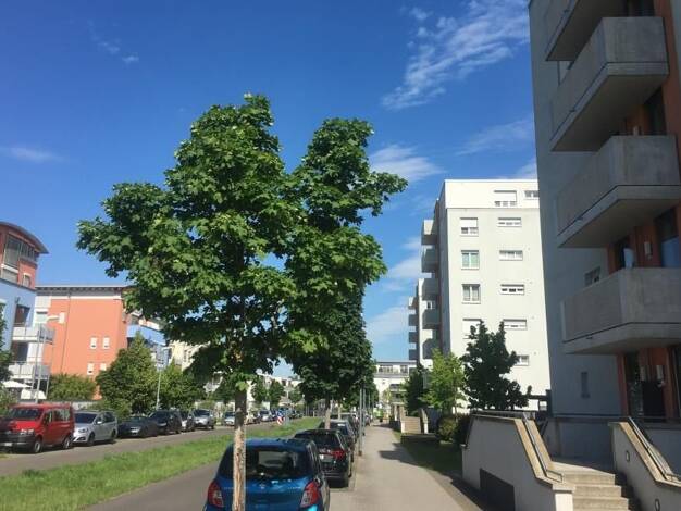 Wohnung zum Kauf provisionsfrei 489.000 € 4 Zimmer 100,6 m² 3. Geschoss Bürgermeister-Alexander-Straße 12 Gonsenheim Mainz 55122