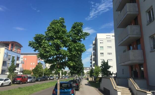 Wohnung zum Kauf provisionsfrei 489.000 € 4 Zimmer 100,6 m² 3. Geschoss Bürgermeister-Alexander-Straße 12 Gonsenheim Mainz 55122