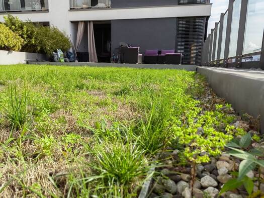 Wohnung zum Kauf provisionsfrei 410.000 € 2 Zimmer 83 m² Geschoss 1/6 frei ab 01.12.2026 Mörfelder Straße 22 Kelsterbach 65451