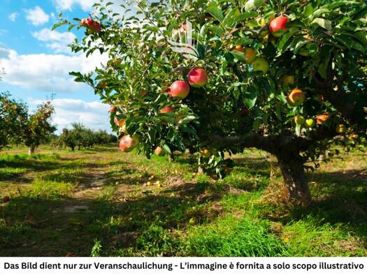 Grundstück zum Kauf 218.000 € 3.648 m² Grundstück Andrian 39010