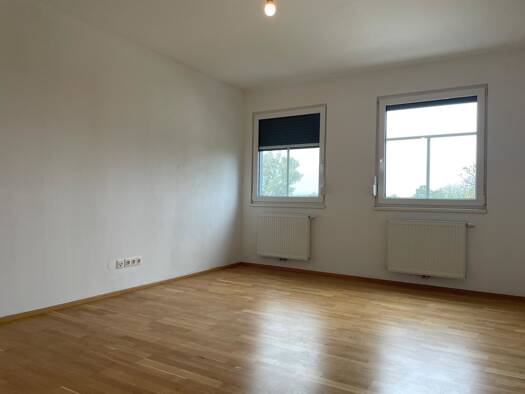 Wohnung zur Miete 628 € 3 Zimmer 79,4 m² MICHAEL HAINISCHSTRAßE 50/STG.1/Top 19 Lichtenwörth 2493