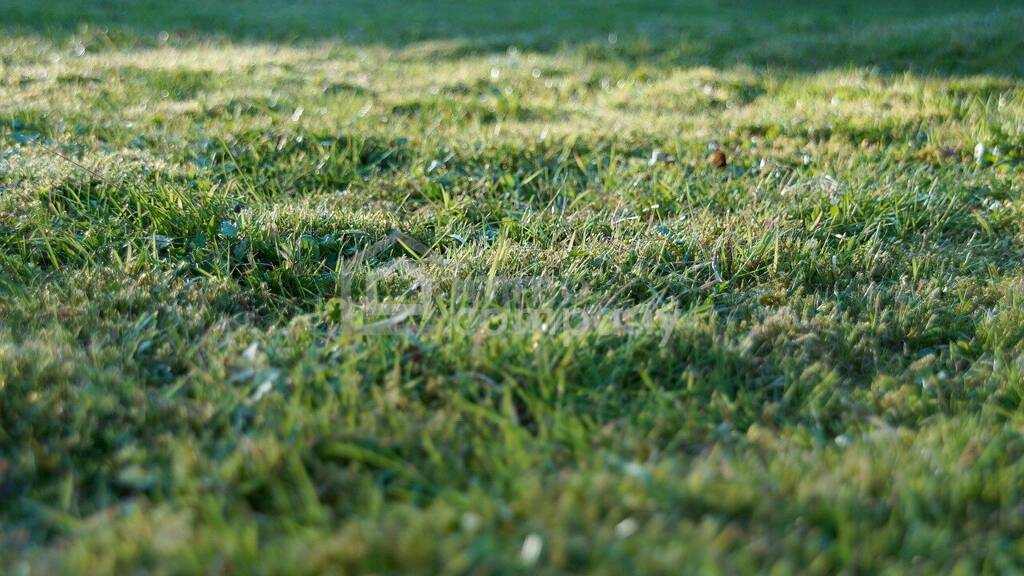 Grundstück zum Kauf 536.400 € 894 m² Grundstück Gerasdorf 2201